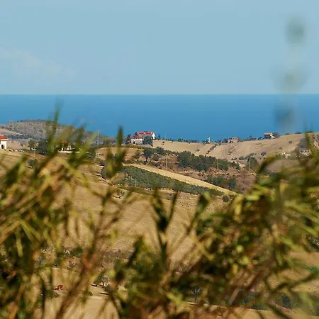 Fonte Pecorale Montefino