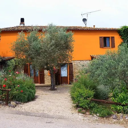 Fonte Pecorale Montefino