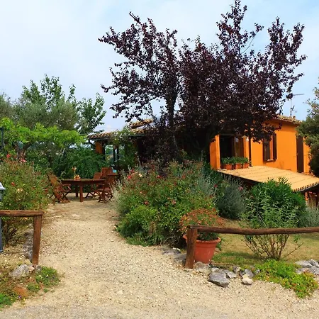 Fonte Pecorale * Montefino